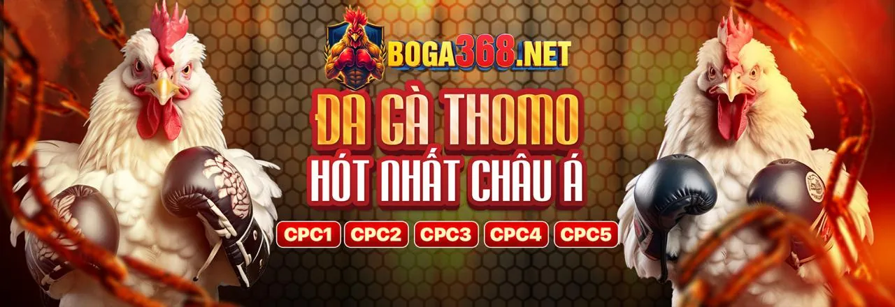 Người vui mừng tham gia chương trình đối tác code 456win