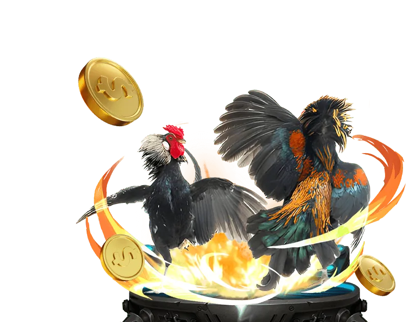 Lịch sử cá cược minh bạch code 456win